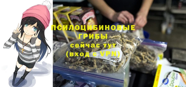 ГАЛЛЮЦИНОГЕННЫЕ ГРИБЫ Куйбышев