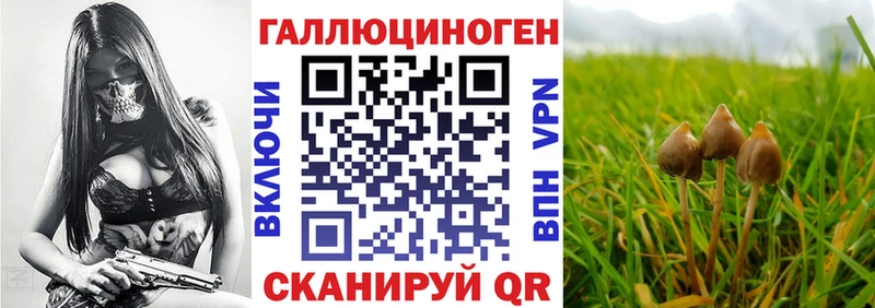 купить наркотики цена  Чухлома  Псилоцибиновые грибы ЛСД 